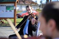 Július Illeš - Violin 2 