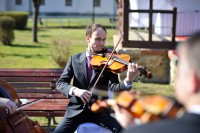 Mariusz Danel - Viola